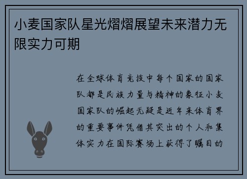 小麦国家队星光熠熠展望未来潜力无限实力可期