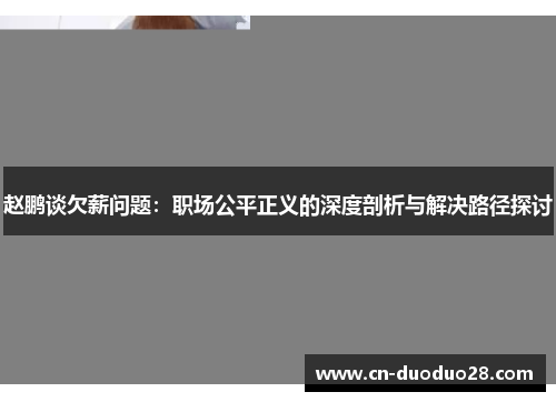 赵鹏谈欠薪问题：职场公平正义的深度剖析与解决路径探讨