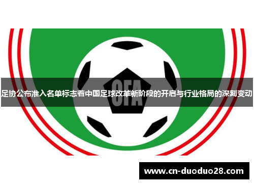 足协公布准入名单标志着中国足球改革新阶段的开启与行业格局的深刻变动