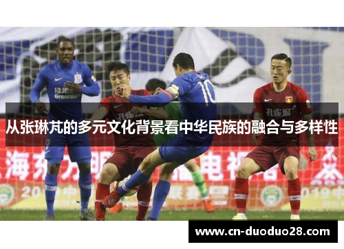 从张琳芃的多元文化背景看中华民族的融合与多样性