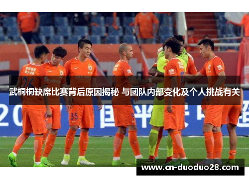 武桐桐缺席比赛背后原因揭秘 与团队内部变化及个人挑战有关