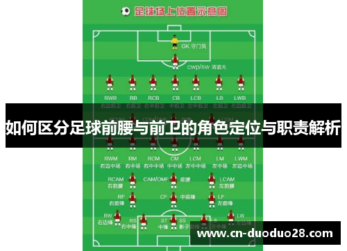 如何区分足球前腰与前卫的角色定位与职责解析